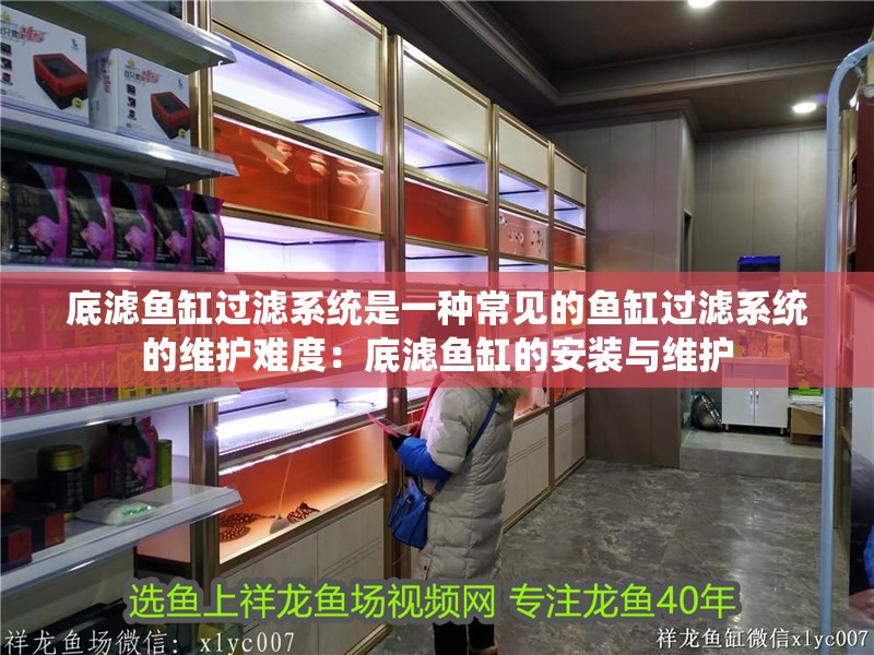 底濾魚缸過濾系統是一種常見的魚缸過濾系統的維護難度：底濾魚缸的安裝與維護