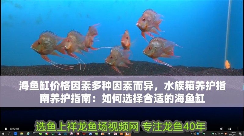 海魚缸價格因素多種因素而異，水族箱養護指南養護指南：如何選擇合適的海魚缸