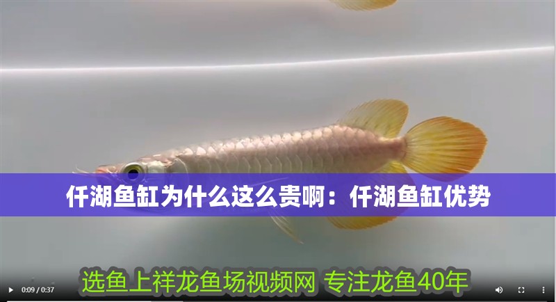 仟湖魚缸為什么這么貴?。呵~缸優勢