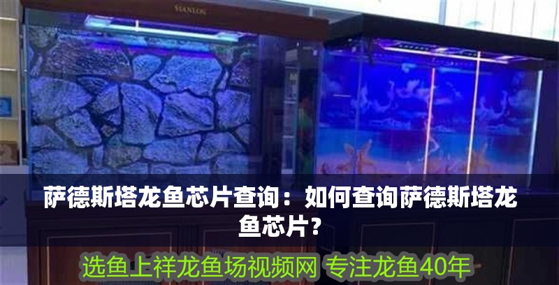 薩德斯塔龍魚芯片查詢：如何查詢薩德斯塔龍魚芯片？
