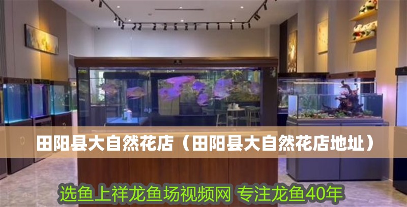 田陽縣大自然花店（田陽縣大自然花店地址）