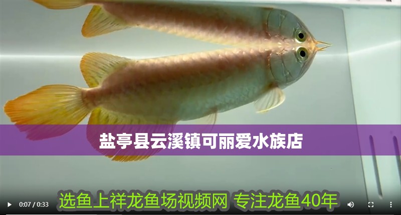 鹽亭縣<strong><mark>云溪</mark></strong>鎮(zhèn)可麗愛(ài)水族店