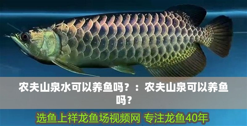 農(nóng)夫山泉水可以養(yǎng)魚嗎？：農(nóng)夫山泉可以養(yǎng)魚嗎？