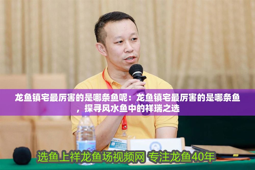 龍魚鎮宅最厲害的是哪條魚呢：龍魚鎮宅最厲害的是哪條魚，探尋風水魚中的祥瑞之選