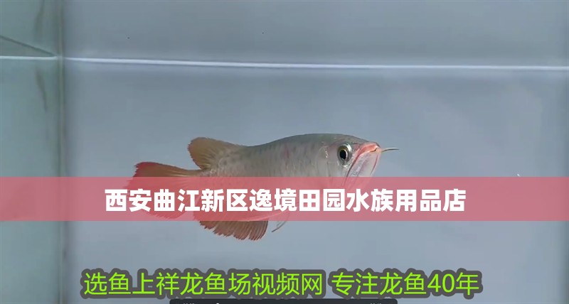 西安曲江新區(qū)逸境田園水族用品店