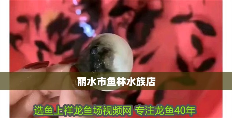 我的虎魚(yú)真菌感染了要怎么處理 麗水市魚(yú)林水族店 全國(guó)水族館企業(yè)名錄 麗水市魚(yú)林水族店 麗水市魚(yú)林水族店 全國(guó)水族館企業(yè)名錄