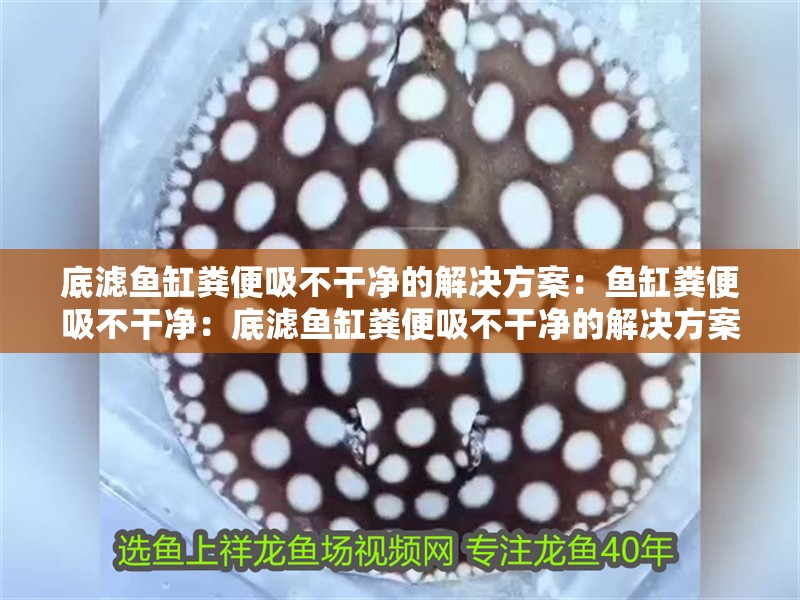 底濾魚缸糞便吸不干凈的解決方案：魚缸糞便吸不干凈：底濾魚缸糞便吸不干凈的解決方案