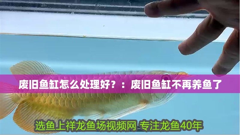 廢舊魚缸怎么處理好？：廢舊魚缸不再養魚了
