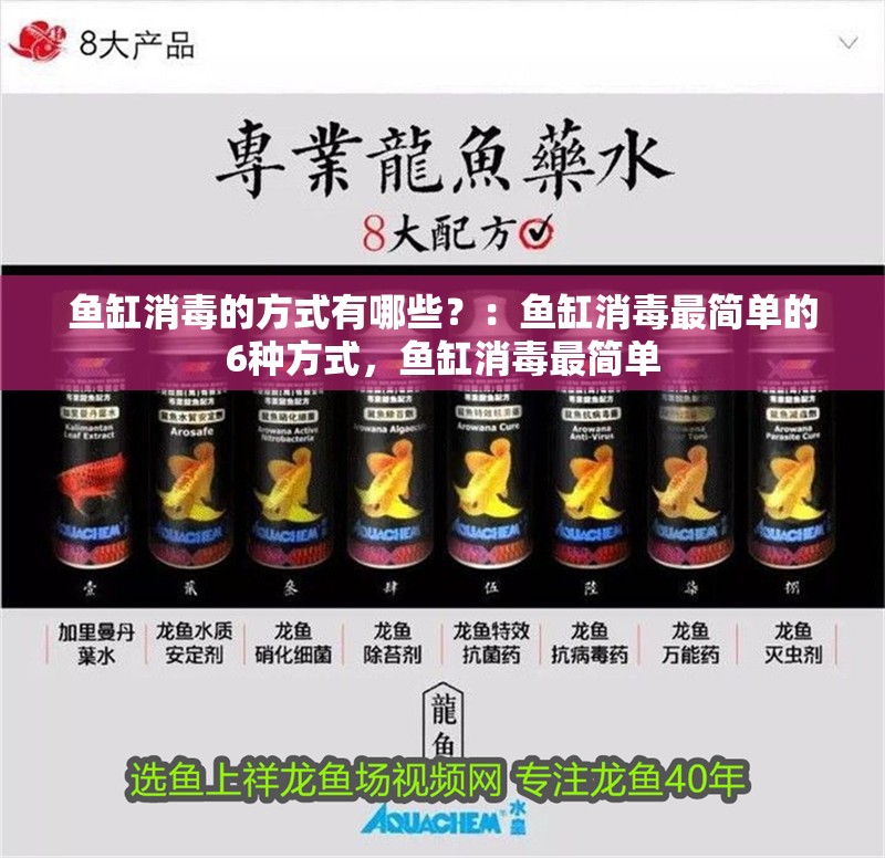 魚缸消毒的方式有哪些？：魚缸消毒最簡單的6種方式，魚缸消毒最簡單