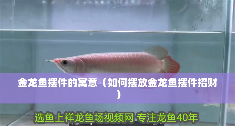 金龍魚擺件的寓意（如何擺放金龍魚擺件招財(cái)）