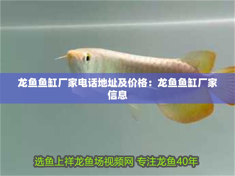 龍魚魚缸廠家電話地址及價格：龍魚魚缸廠家信息 龍魚魚缸廠家電話地址及價格：龍魚魚缸廠家信息 龍魚百科