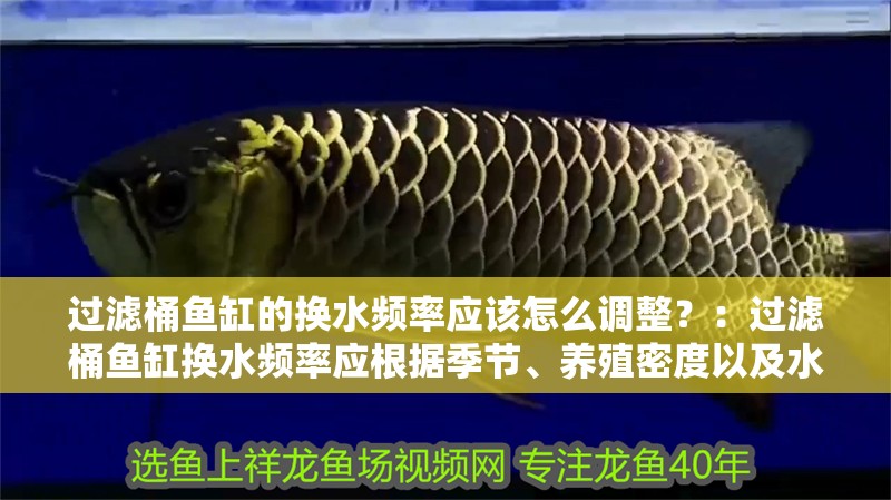 過(guò)濾桶魚(yú)缸的換水頻率應(yīng)該怎么調(diào)整？：過(guò)濾桶魚(yú)缸換水頻率應(yīng)根據(jù)季節(jié)、養(yǎng)殖密度以及水質(zhì)狀況靈活調(diào)整 過(guò)濾桶魚(yú)缸的換水頻率應(yīng)該怎么調(diào)整？：過(guò)濾桶魚(yú)缸換水頻率應(yīng)根據(jù)季節(jié)、養(yǎng)殖密度以及水質(zhì)狀況靈活調(diào)整 魚(yú)缸百科