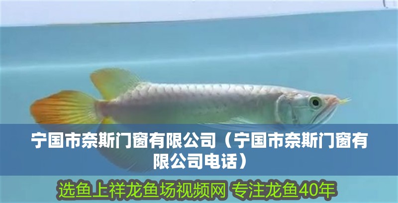 寧國(guó)市奈斯門(mén)窗有限公司（寧國(guó)市奈斯門(mén)窗有限公司電話）