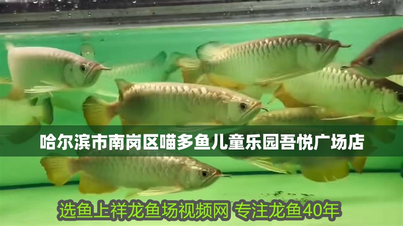 哈爾濱市南崗區(qū)喵多魚(yú)兒童樂(lè)園吾悅廣場(chǎng)店
