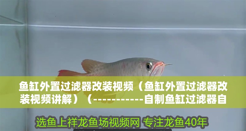 魚(yú)缸外置過(guò)濾器改裝視頻（魚(yú)缸外置過(guò)濾器改裝視頻講解）（-----------自制魚(yú)缸過(guò)濾器自制過(guò)濾器）