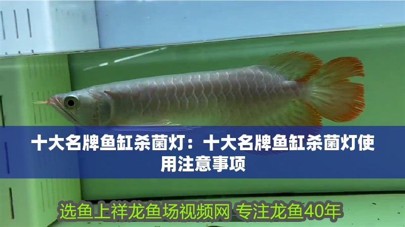 十大名牌魚缸殺菌燈：十大名牌魚缸殺菌燈使用注意事項