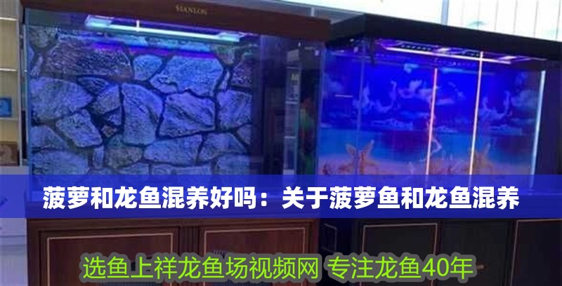 菠蘿和龍魚混養好嗎：關于菠蘿魚和龍魚混養