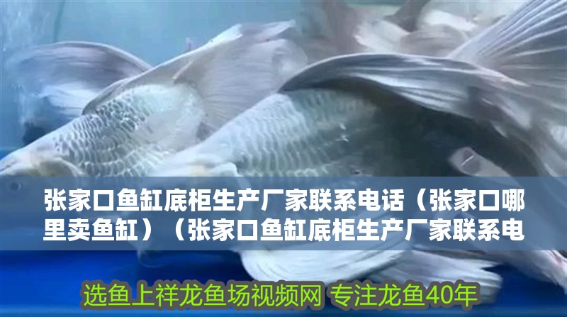 張家口魚缸底柜生產(chǎn)廠家聯(lián)系電話（張家口哪里賣魚缸）（張家口魚缸底柜生產(chǎn)廠家聯(lián)系電話、世友地板廠家聯(lián)系電話）