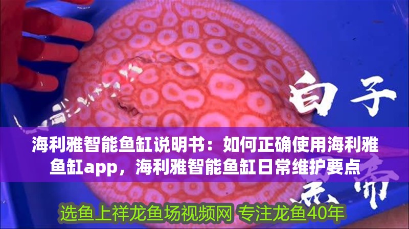 海利雅智能魚缸說明書：如何正確使用海利雅魚缸app，海利雅智能魚缸日常維護要點