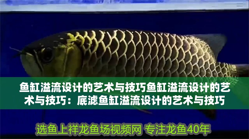 魚缸溢流設計的藝術與技巧魚缸溢流設計的藝術與技巧：底濾魚缸溢流設計的藝術與技巧