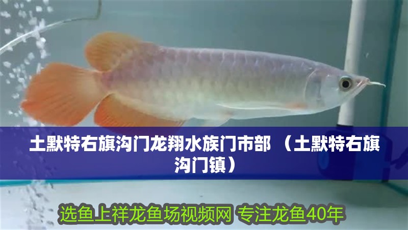 土默特右旗溝門龍翔水族門市部 （土默特右旗溝門鎮）