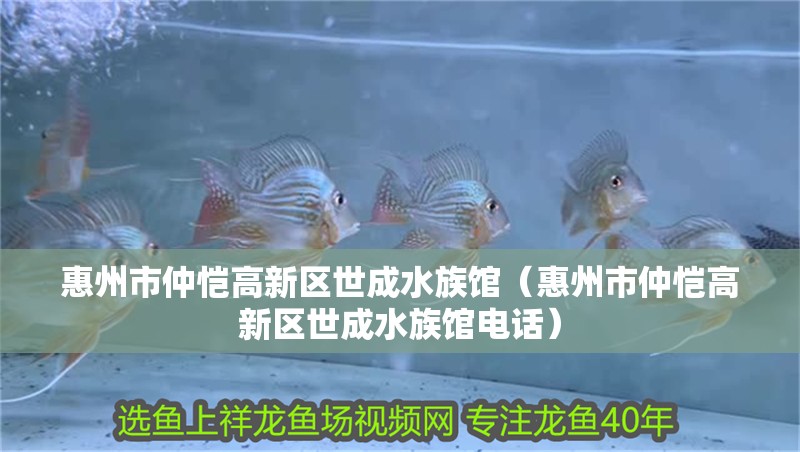 惠州市仲愷高新區世成水族館（惠州市仲愷高新區世成水族館電話）