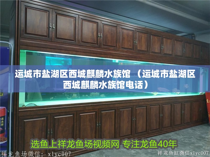 運城市鹽湖區西城麒麟水族館 （運城市鹽湖區西城麒麟水族館電話）