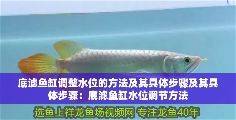 底濾魚缸調(diào)整水位的方法及其具體步驟及其具體步驟：底濾魚缸水位調(diào)節(jié)方法