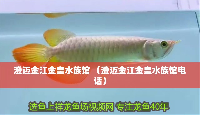 澄邁金江金皇水族館 （澄邁金江金皇水族館電話）