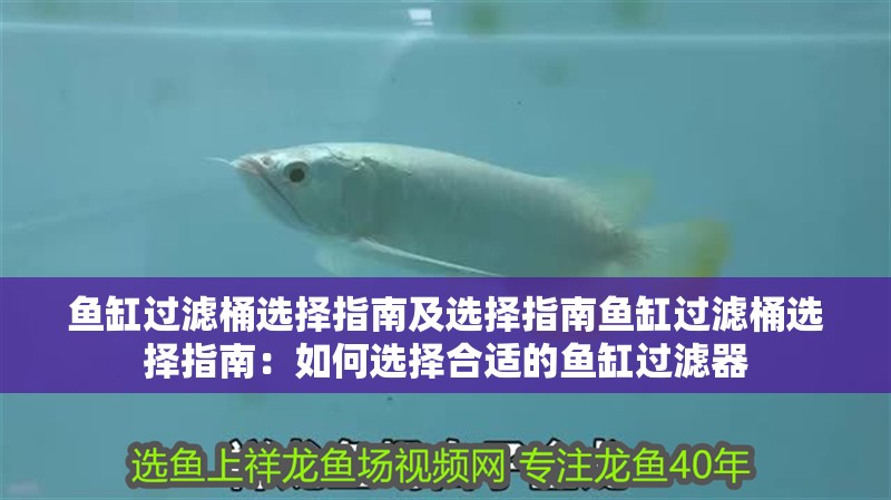 魚缸過濾桶選擇指南及選擇指南魚缸過濾桶選擇指南：如何選擇合適的魚缸過濾器