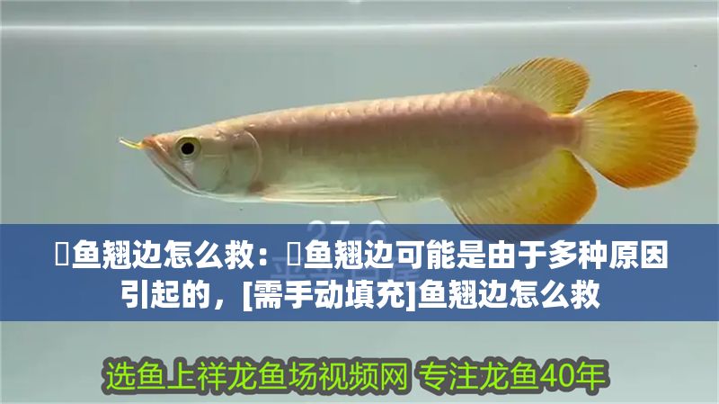 魟魚翹邊怎么救：魟魚翹邊可能是由于多種原因引起的，[需手動填充]魚翹邊怎么救