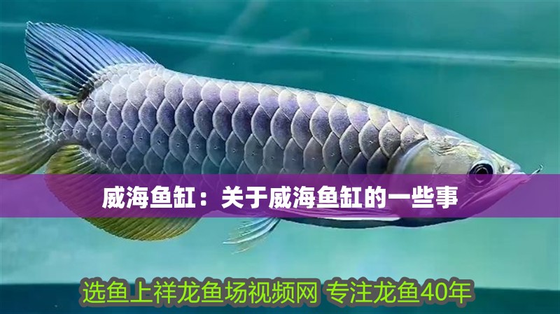 <strong><mark>威海</mark></strong>魚缸：關(guān)于<strong><mark>威海</mark></strong>魚缸的一些事