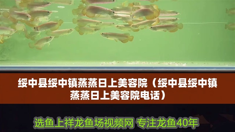 綏中縣綏中鎮蒸蒸日上美容院（綏中縣綏中鎮蒸蒸日上美容院電話）