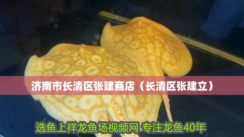 濟南市長清區(qū)張建商店（長清區(qū)張建立）