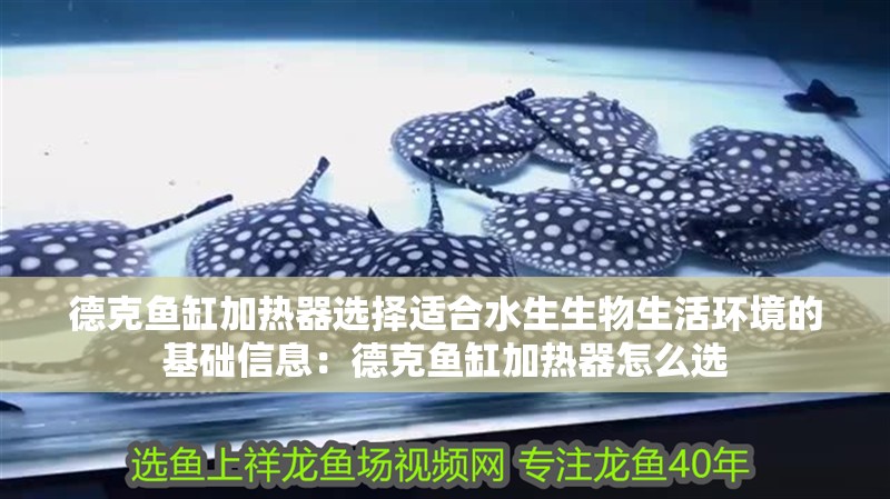 德克魚缸加熱器選擇適合水生生物生活環境的基礎信息：德克魚缸加熱器怎么選 德克魚缸加熱器選擇適合水生生物生活環境的基礎信息：德克魚缸加熱器怎么選 魚缸百科