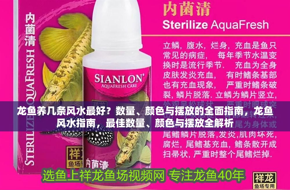 詳細閱讀:龍魚養幾條風水最好?數量、顏色與擺放的全面指南,龍魚風水指南,最佳數量、顏色與擺放全解析 龍魚養幾條風水最好?數量、顏色與擺放的全面指南,龍魚風水指南,最佳數量、顏色與擺放全解析