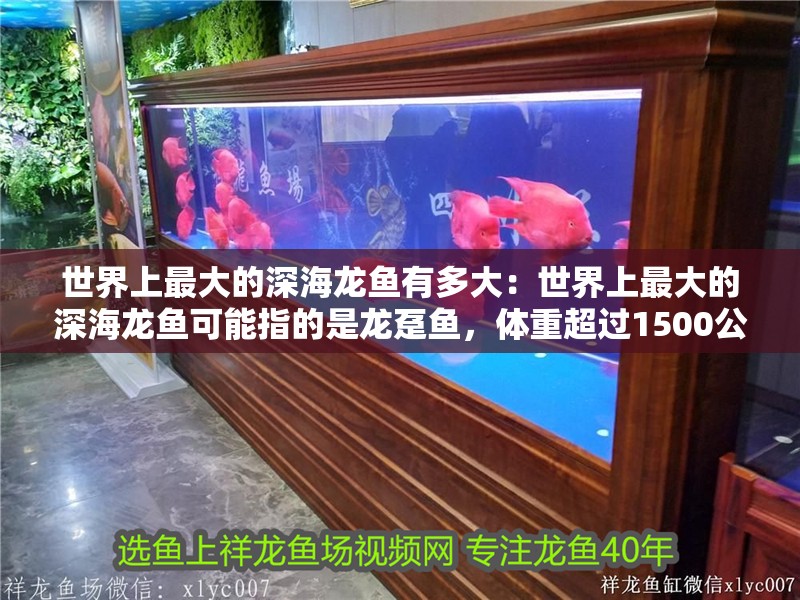 世界上最大的深海龍魚有多大：世界上最大的深海龍魚可能指的是龍躉魚，體重超過1500公斤