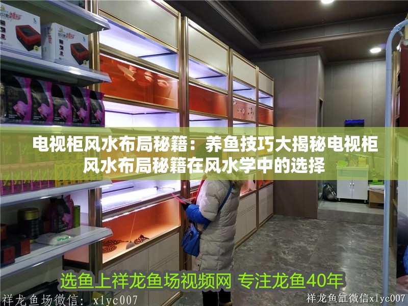 電視柜風水布局秘籍：養魚技巧大揭秘電視柜風水布局秘籍在風水學中的選擇