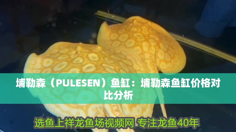 埔勒森（PULESEN）魚缸：埔勒森魚缸價格對比分析