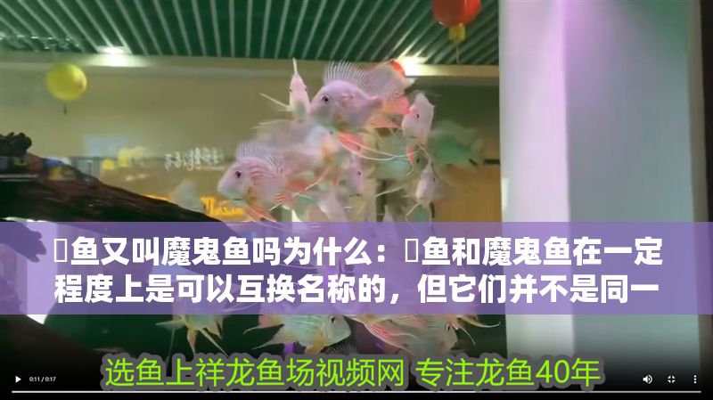 魟魚又叫魔鬼魚嗎為什么：魟魚和魔鬼魚在一定程度上是可以互換名稱的，但它們并不是同一種魚類