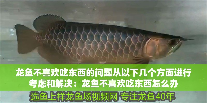 龍魚不喜歡吃東西的問題從以下幾個方面進行考慮和解決：龍魚不喜歡吃東西怎么辦