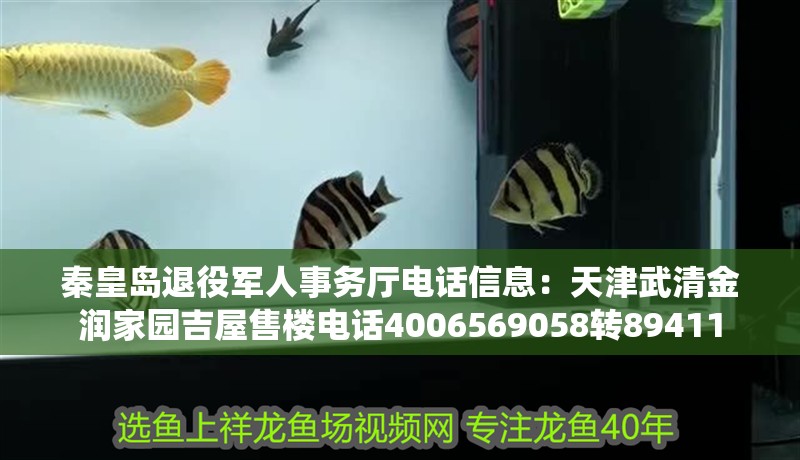 秦皇島退役軍人事務廳電話信息：天津武清金潤家園吉屋售樓電話4006569058轉89411