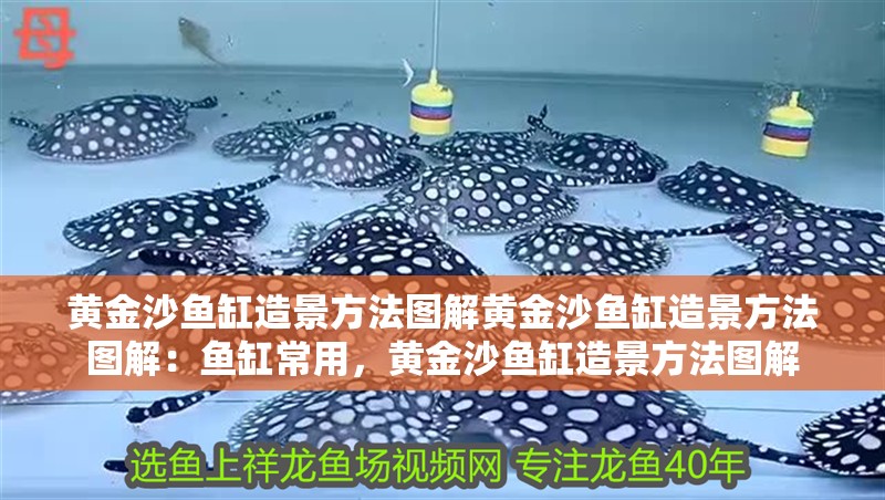 黃金沙魚缸造景方法圖解黃金沙魚缸造景方法圖解：魚缸常用，黃金沙魚缸造景方法圖解