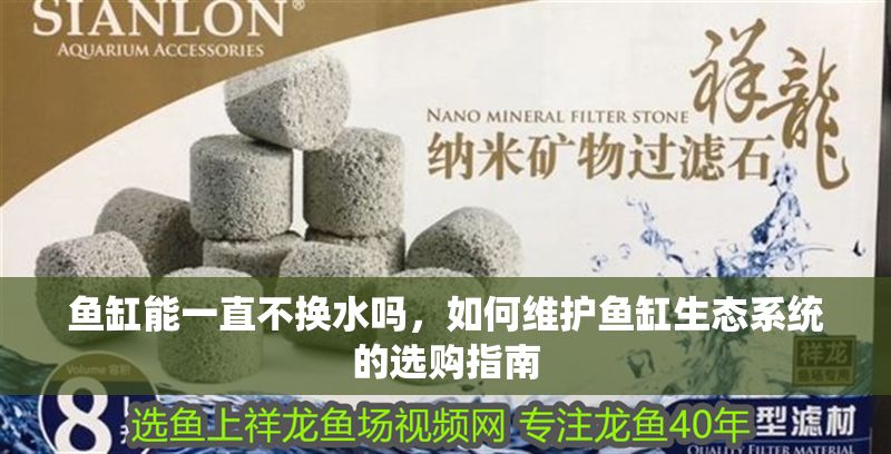 魚缸能一直不換水嗎，如何維護魚缸生態系統的選購指南