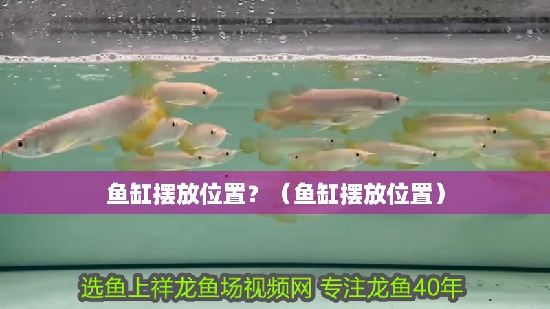 魚缸擺放位置？（魚缸擺放位置）