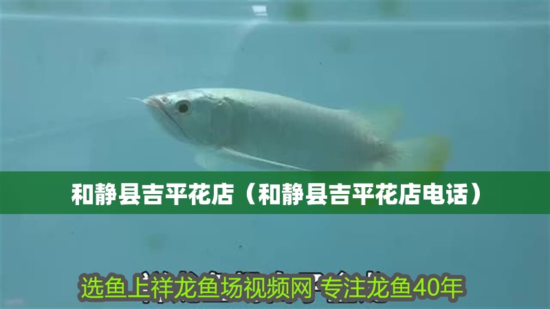 和靜縣吉平花店（和靜縣吉平花店電話）