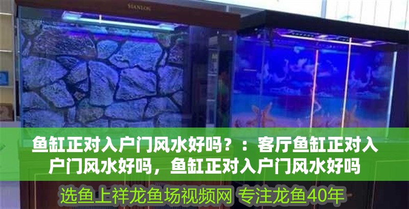 魚缸正對入戶門風(fēng)水好嗎？：客廳魚缸正對入戶門風(fēng)水好嗎，魚缸正對入戶門風(fēng)水好嗎