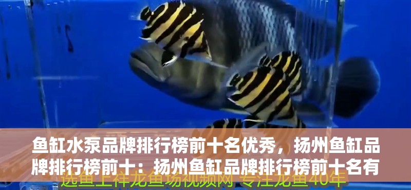 魚缸水泵品牌排行榜前十名優秀，揚州魚缸品牌排行榜前十：揚州魚缸品牌排行榜前十名有哪些？