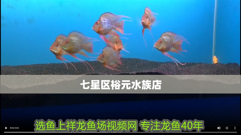 七星區裕元水族店