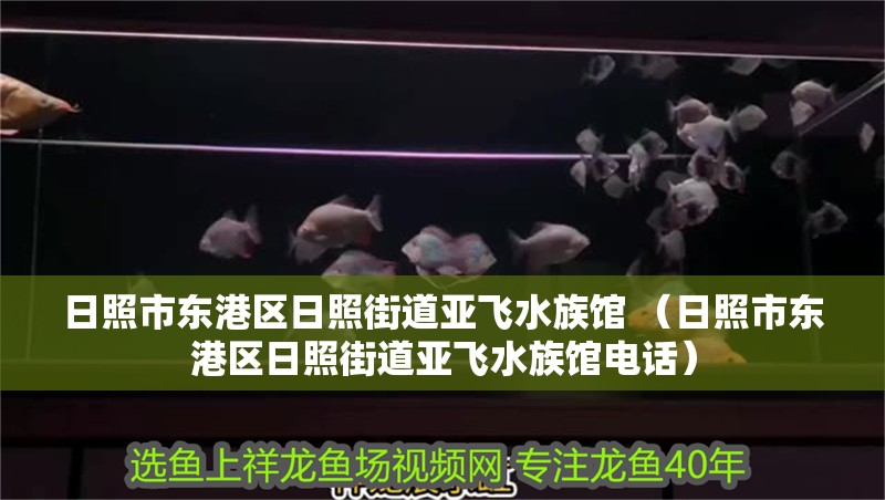 日照市東港區日照街道亞飛水族館 （日照市東港區日照街道亞飛水族館電話）
